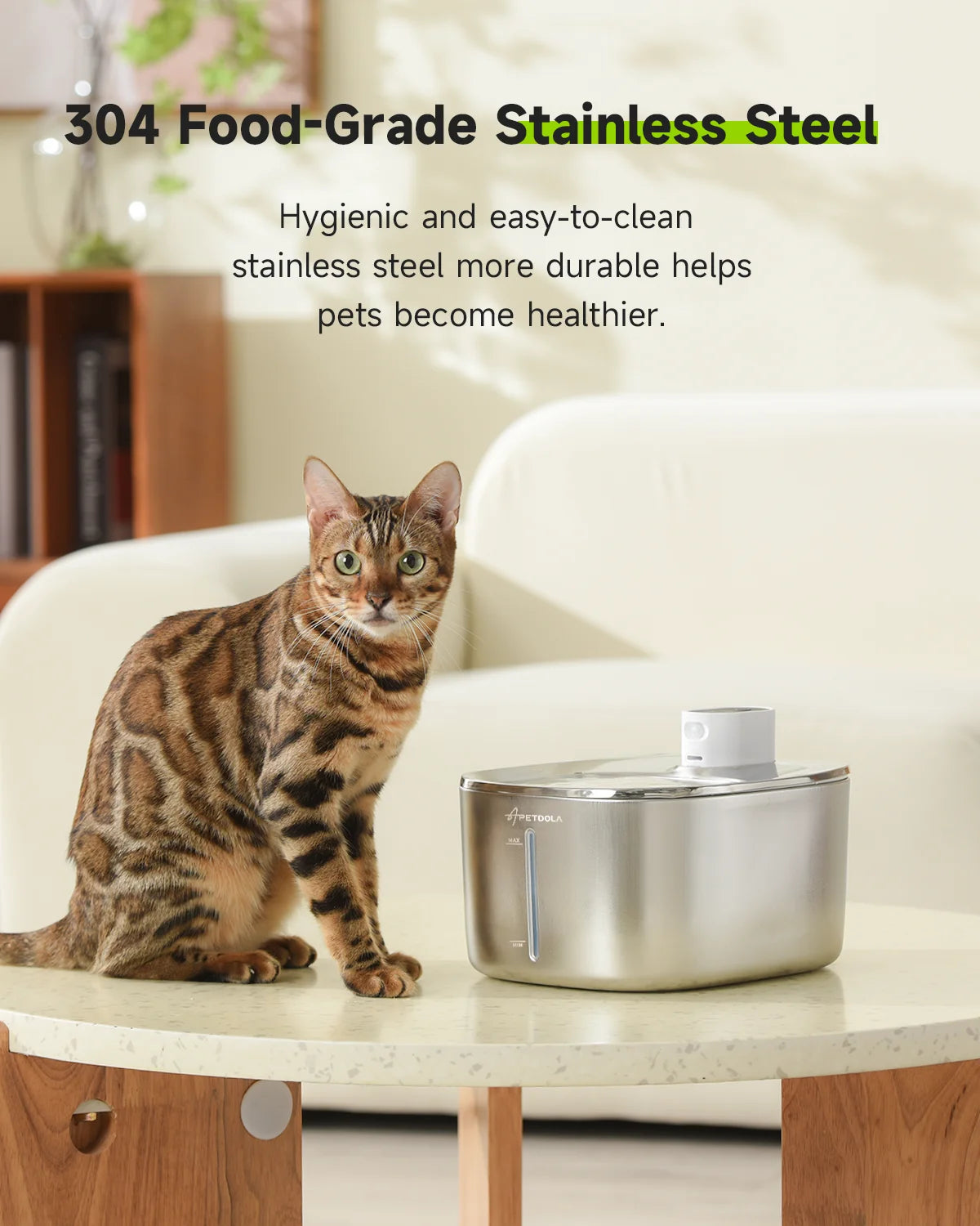 Pet Water Dispenser