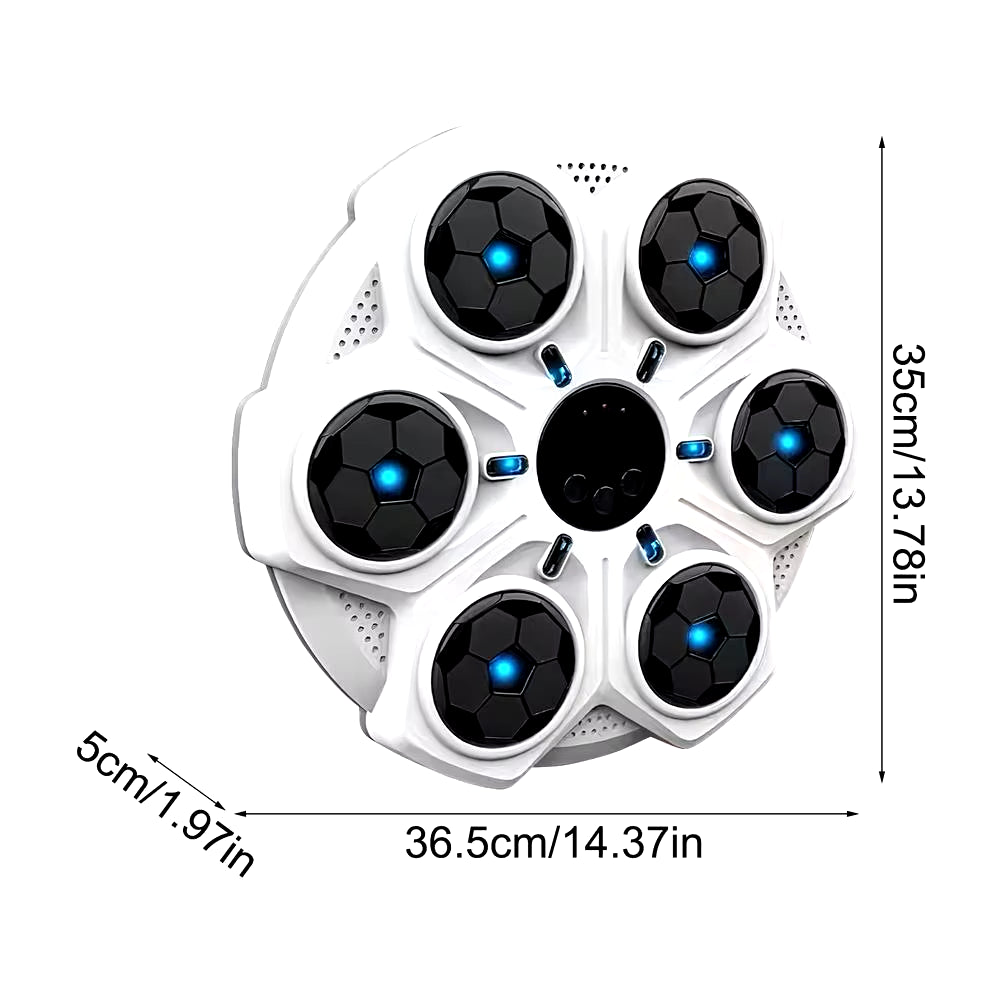 Boxing Training Machine