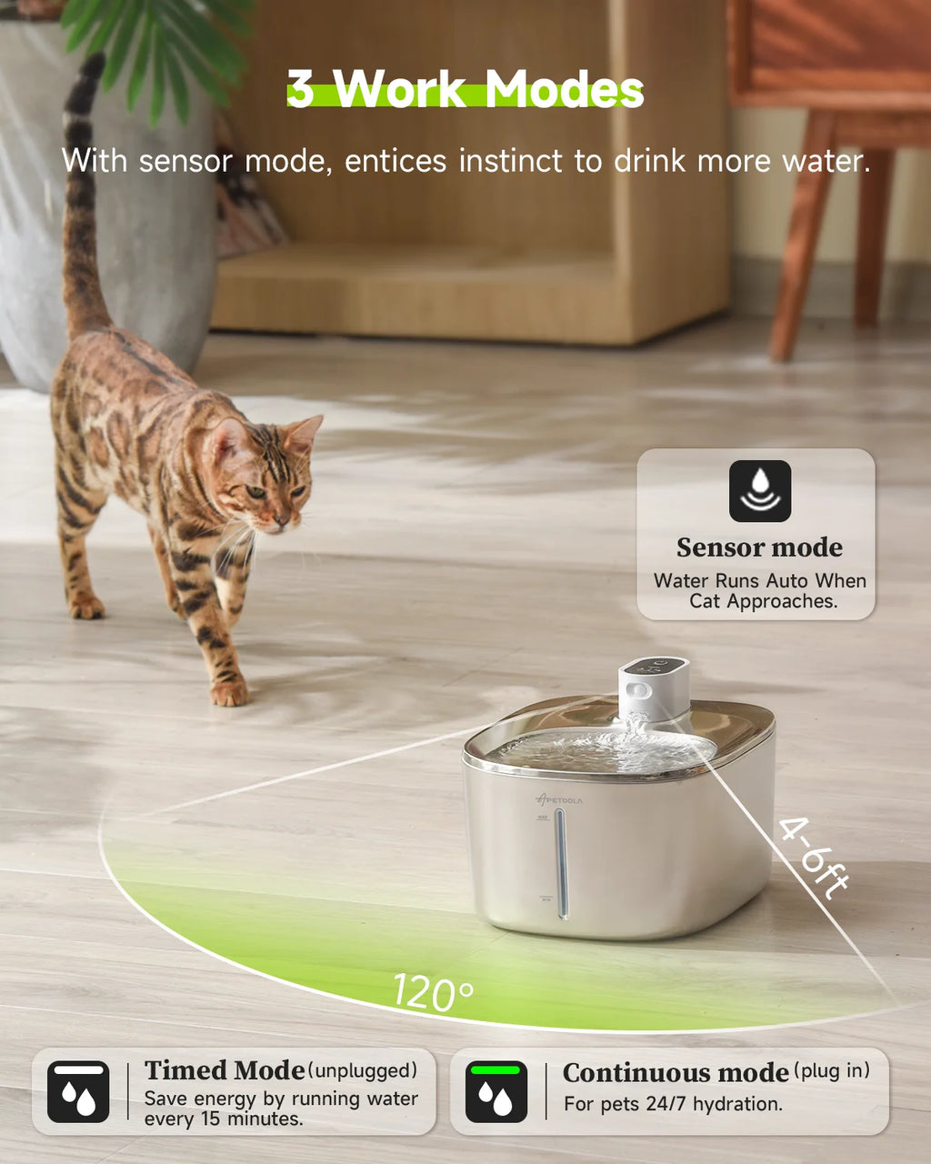 Pet Water Dispenser