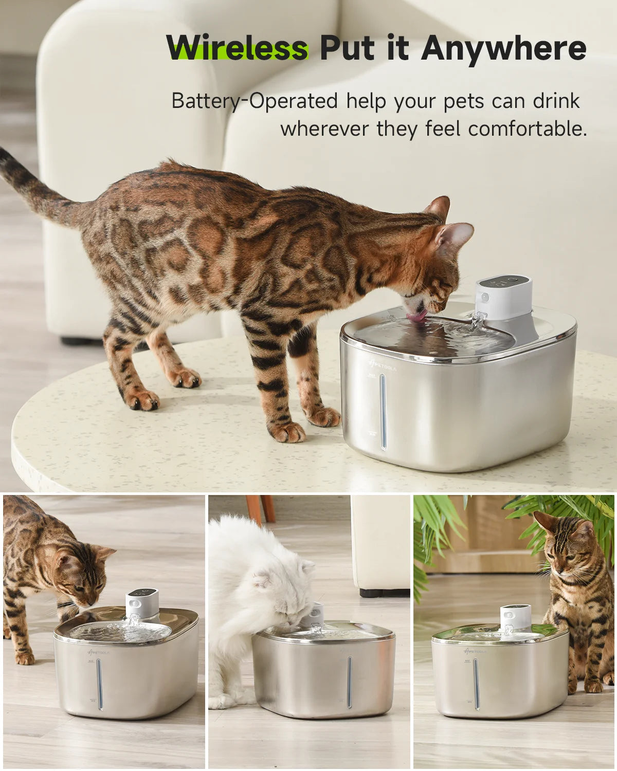 Pet Water Dispenser